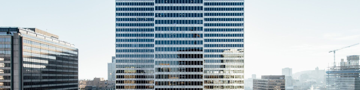 如何查詢新加坡股東信息的權(quán)威指南