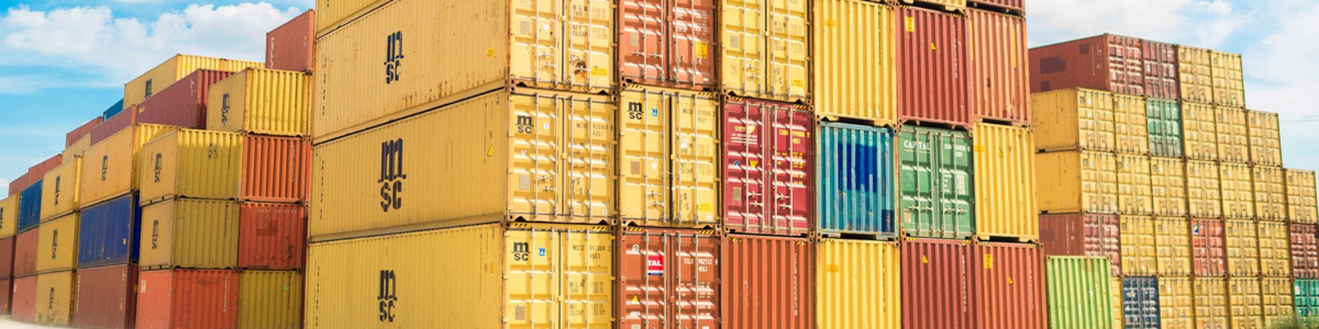 VIE方式：全球公司注冊與投資的利器